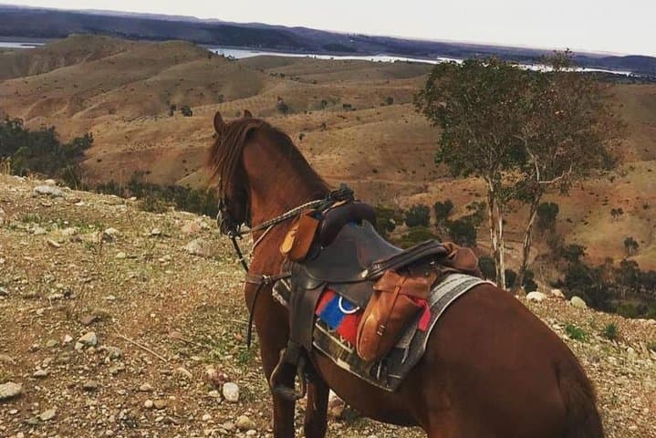 Palmeraie Horseback Ride: Desert Trails & Atlas Views from Marrakech photo 6
