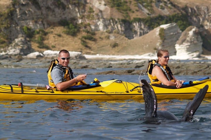 Sunset Kayaking Along Kaikoura Peninsula — Seal‑Guaranteed Evening Paddle photo 6