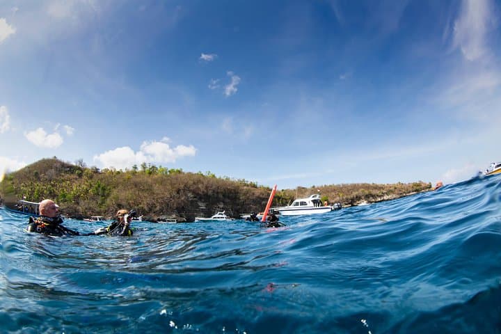 Three-Dive Nusa Penida Day: Manta Point, Crystal Bay & SD Drift photo 3