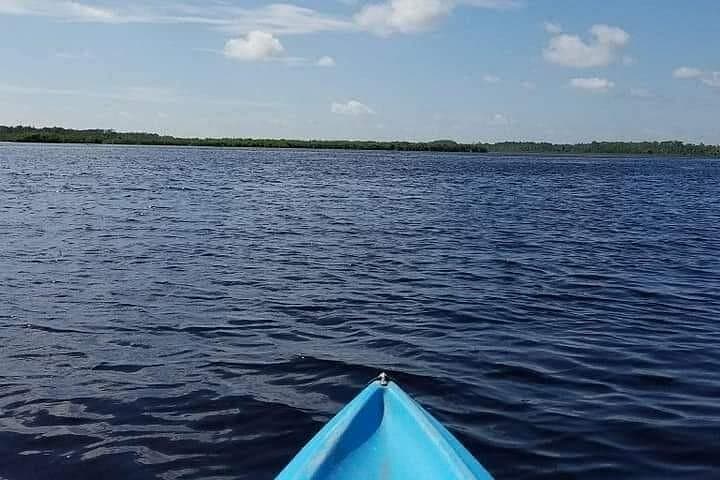 Eco Kayak Tour in New Smyrna Beach: Manatees, Dolphins & Mangrove Trails photo 2