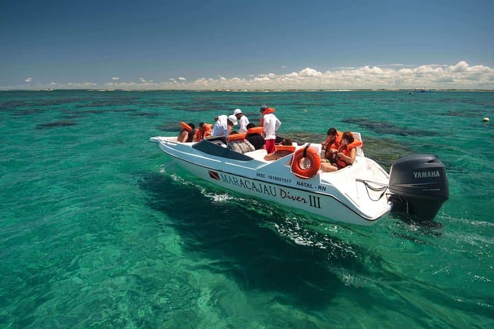 Discover the Pristine Paradise of Maracajaú Beach photo 6