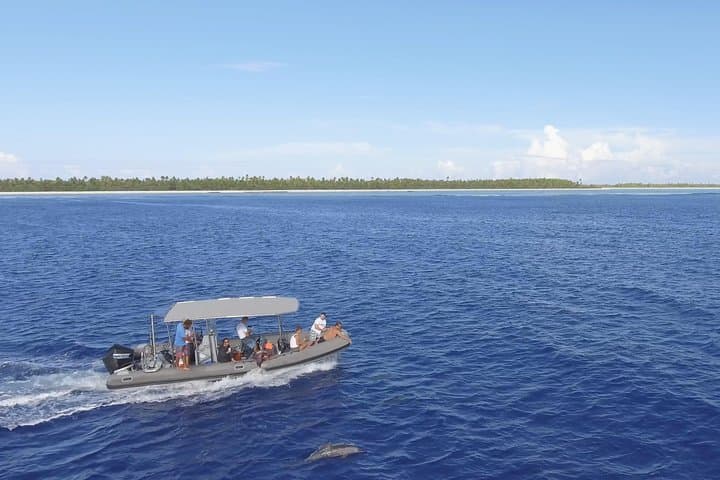 Bora Bora Private Whale-Watching and Snorkel Tour photo 4