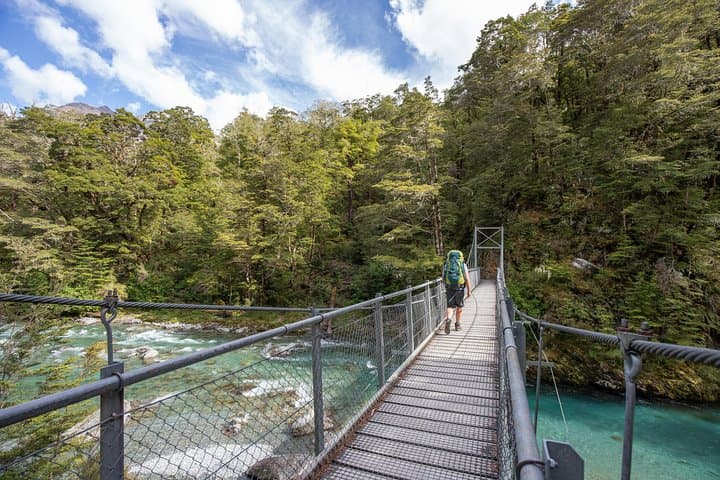 Routeburn Track Half-Day Guided Walk from Queenstown — Scenic Short Hike photo 3