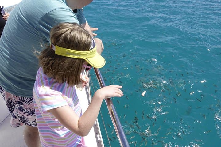 Full-Day Reef Safari at Sainte Anne Marine National Park: Snorkel, Semi-Submersible & Moyenne Island