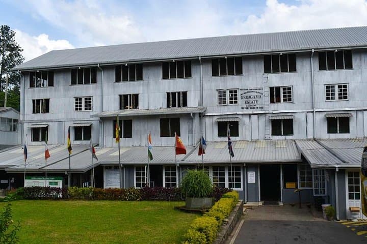 Colombo to Kandy Shore Excursion — Tea Estates, Ancient Temples & Hill-Country Roads photo 2