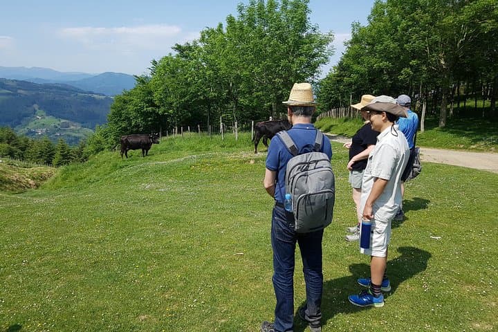 Summit Mount Hernio: Day Hike from San Sebastián photo 4
