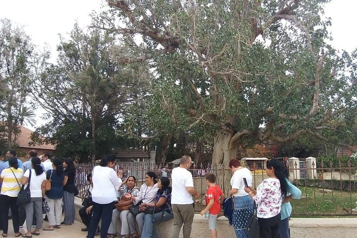 Bethlehem, Jericho & Qaser Al Yahud: Guided Day Tour from Jerusalem photo 3