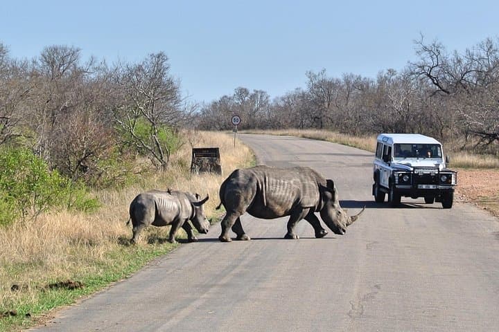 5-Day Private Kruger Safari & Panorama Route — Big Five, Blyde River Canyon, Conservation photo 5