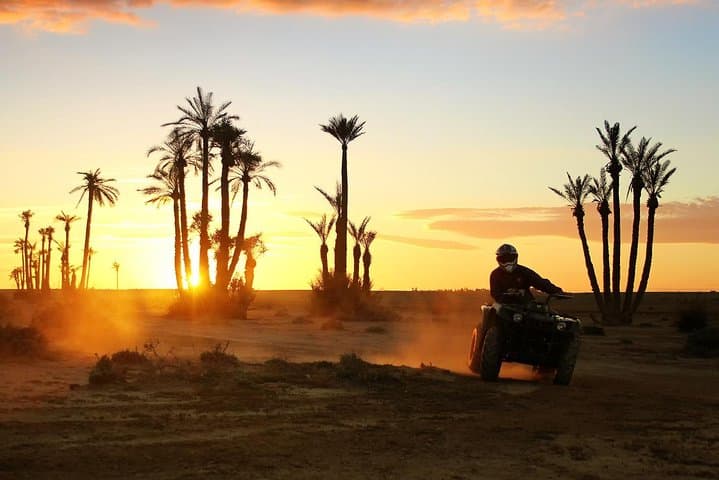 2-Hour Quad Ride in Marrakech Palmeraie: Palm Grove Adventure Near the Atlas Foothills