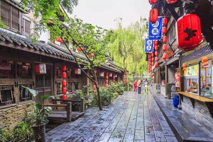 Private 2-Day Chengdu Sightseeing: Pandas, Temples & Leshan Giant Buddha photo 4