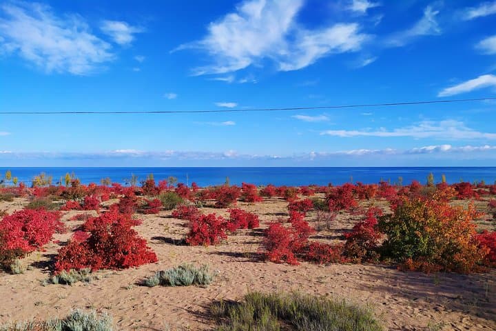 Marvelous 3-Day Issyk-Kul Lake Circuit: Yurts, Gorges & Ancient Sites photo 3