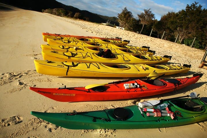 Split Apple Rock Kayak Tour from Kaiteriteri: Guided Paddle to Granite Headlands photo 5