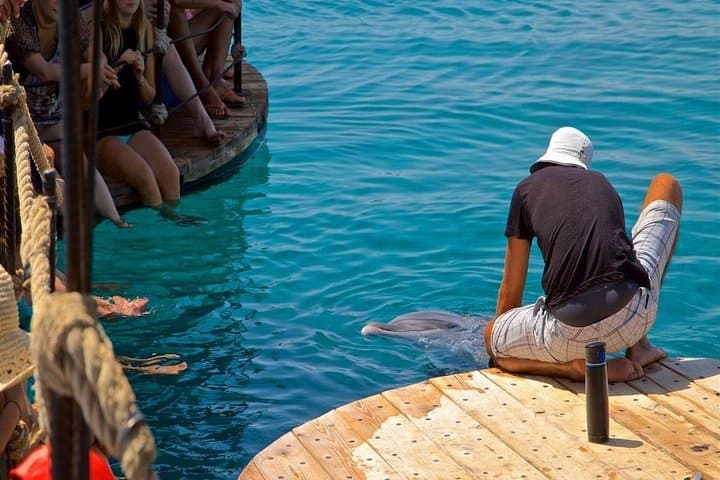Satayh Dolphin Reef Snorkeling Trip from Marsa Alam photo 4