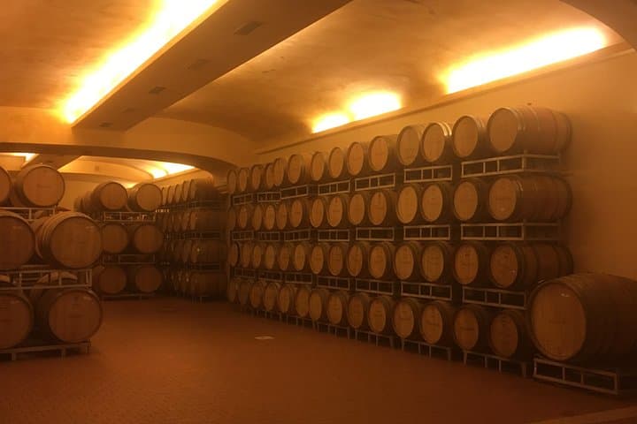 Chianti Classico E-Bike Tour: Wine, Castles, and Rolling Hills photo 5
