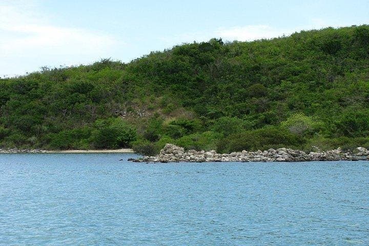 Discover Nha Trang's Aquatic Marvels: A Full-Day Adventure photo 4