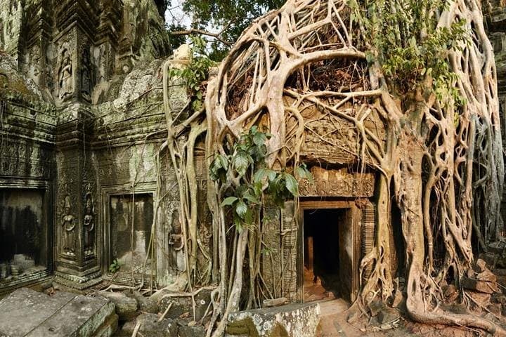 Full-Day Angkor Temples Tour: Angkor Wat, Bayon, Ta Prohm & Sunset photo 6