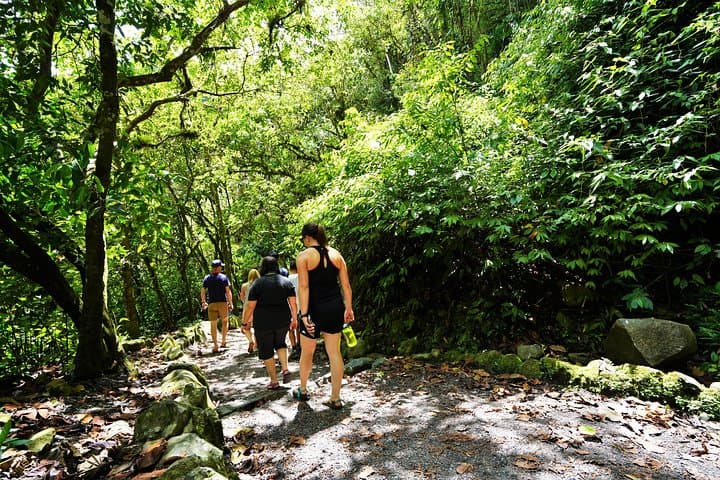 Mindo Cloud Forest Day Trip: Waterfalls, Hummingbirds & Chocolate photo 3