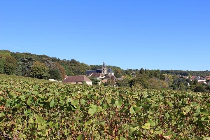 Private Full-Day Champagne Tour from Paris to Reims & Epernay photo 2