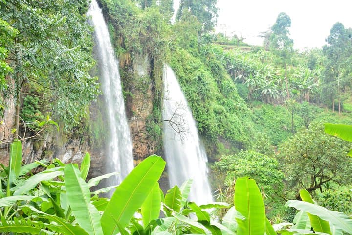 Sipi Falls Hike: Full-Day Trek on Mt. Elgon’s Waterfall Circuit photo 6