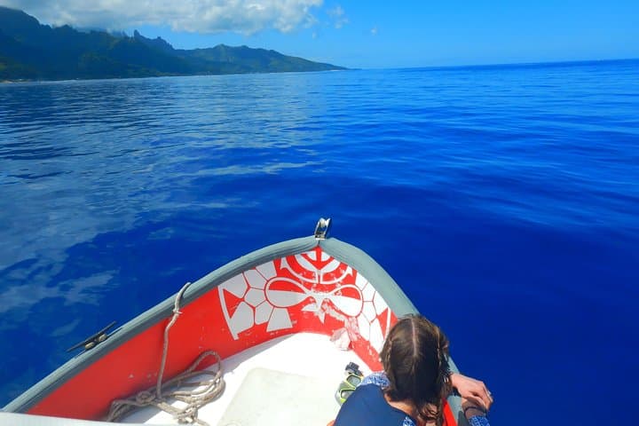Half-Day Moorea Lagoon Boat Tour — Snorkel with Turtles, Rays & Sharks photo 2