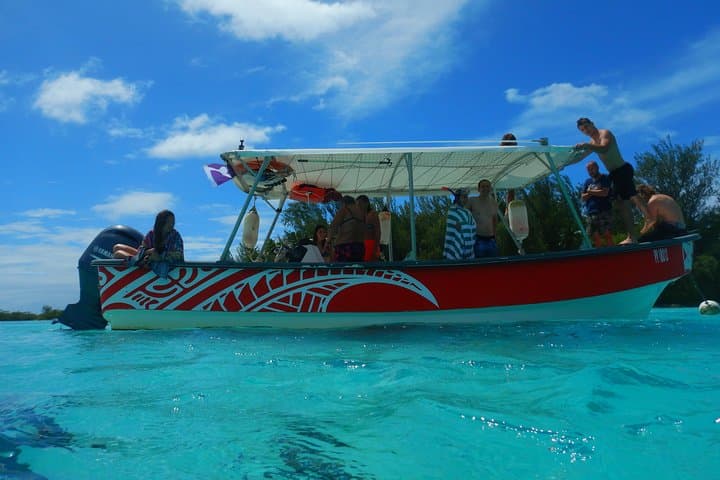 Half-Day Moorea Lagoon Boat Tour — Snorkel with Turtles, Rays & Sharks photo 3