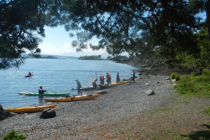 Oslo Fjord Kayak Tour: 2-Hour Guided Paddle from Sjølyst photo 5