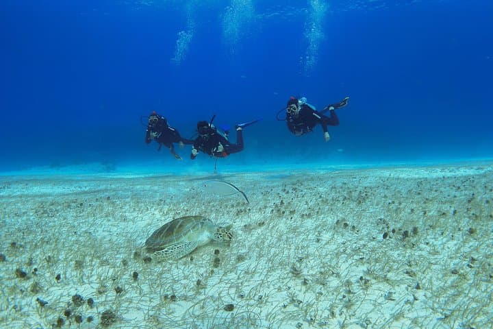 Playa del Carmen Discover Scuba: Basic Diver Bautismo Guide photo 2