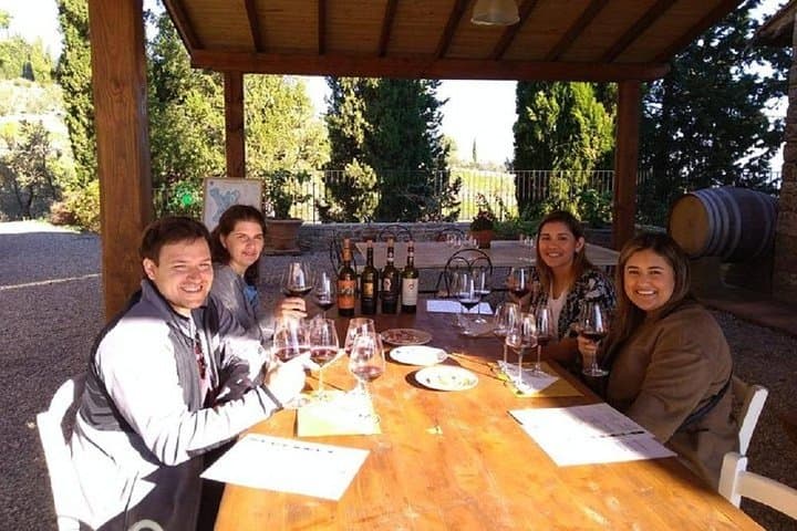 Horseback Riding Through Tuscan Vineyards with Wine Tasting near San Gimignano photo 4