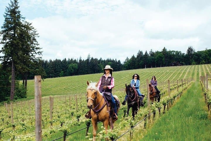 Horseback Riding Through Tuscan Vineyards with Wine Tasting near San Gimignano photo 1