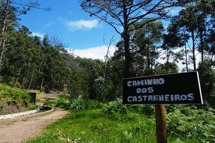 Private Guided Levada Walk: Calheta to Prazeres — Madeira Hiking Tour photo 6