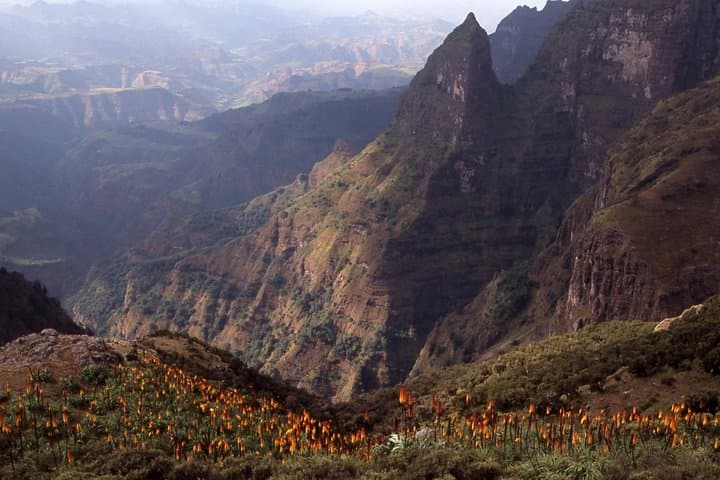 Simien Mountains Day Trip from Gondar: Sankaber, Jinbar & Chenek Highlights photo 3