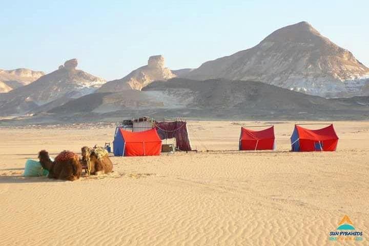 Two-Day White Desert & Bahariya Oasis Private Camp from Cairo