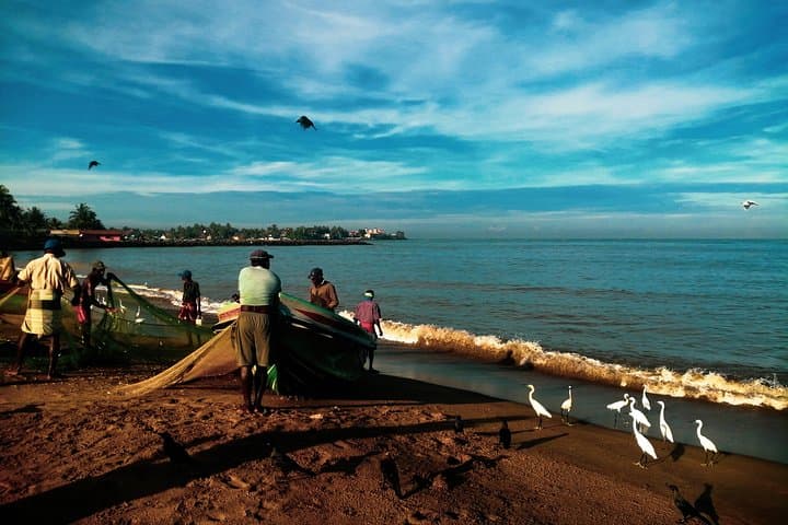 Negombo Day Tour: Fish Markets, Temples & Dutch Fort in a 4-Hour City Ride photo 5