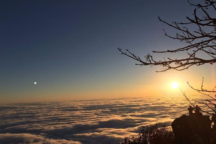 3-Day Private Chengdu, Leshan & Mount Emei Tour with Golden Summit Overnight