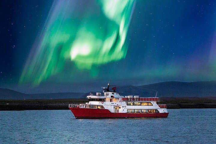 Reykjavik Winter Combo: Whale Watching by Day, Northern Lights by Night photo 2