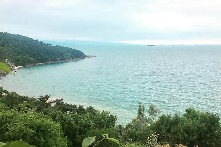 Tranquil Escape: Princes' Islands Day Tour from Istanbul photo 5