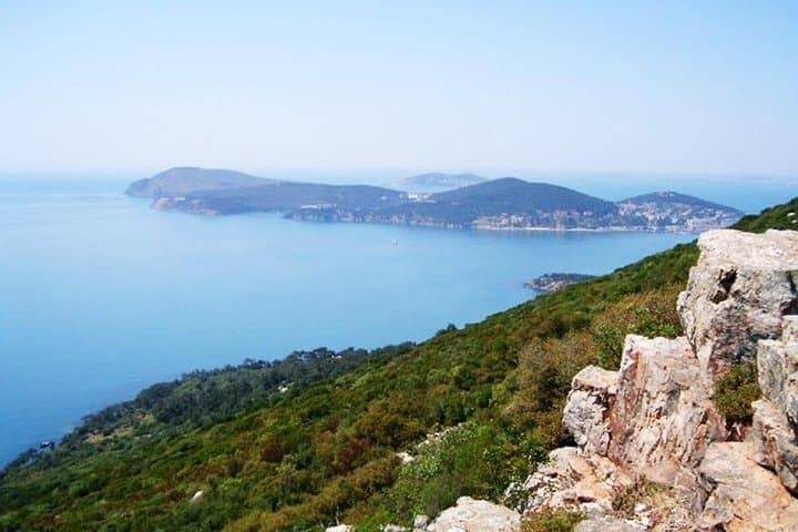 Tranquil Escape: Princes' Islands Day Tour from Istanbul photo 6