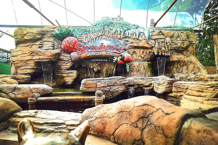 Genting Highlands & Batu Caves Day Trip — Cable Car, Temples, and Hilltop Views photo 3