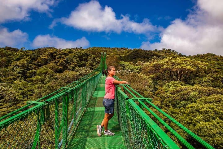 Selvatura Park Hanging Bridges: Monteverde Cloud Forest Canopy Walk photo 3