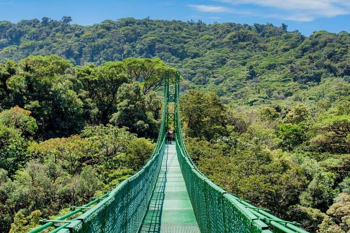 Selvatura Park Hanging Bridges: Monteverde Cloud Forest Canopy Walk photo 2