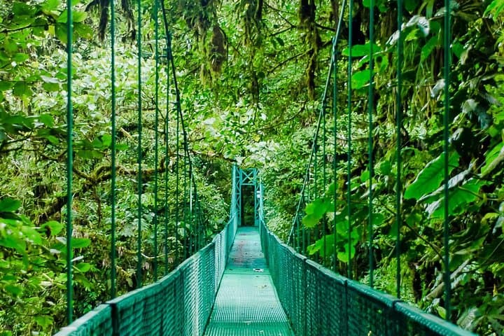 Selvatura Park Hanging Bridges: Monteverde Cloud Forest Canopy Walk