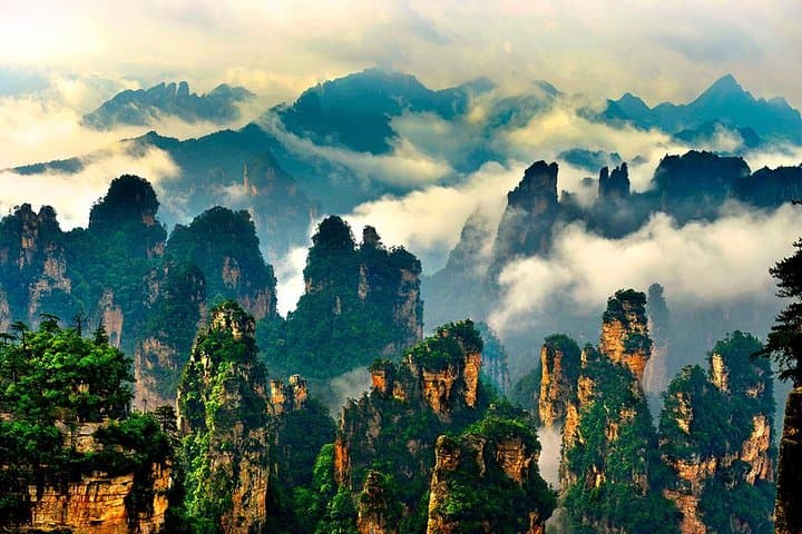 Explore Avatar Mountain: Full-Day Private Tour of Zhangjiajie National Forest Park photo 5