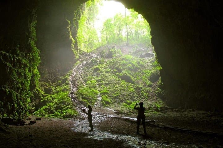 Descend into Light: Jomblang Cave Vertical Caving Experience, Yogyakarta photo 3
