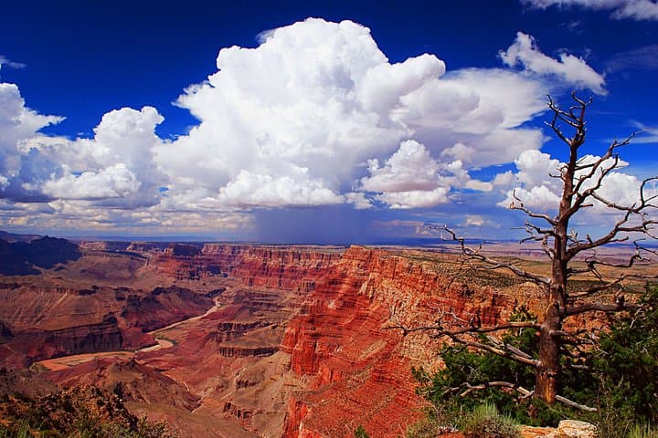 Off-Road Sunset Safari to Grand Canyon from Tusayan — Grandview Point Sunset photo 5