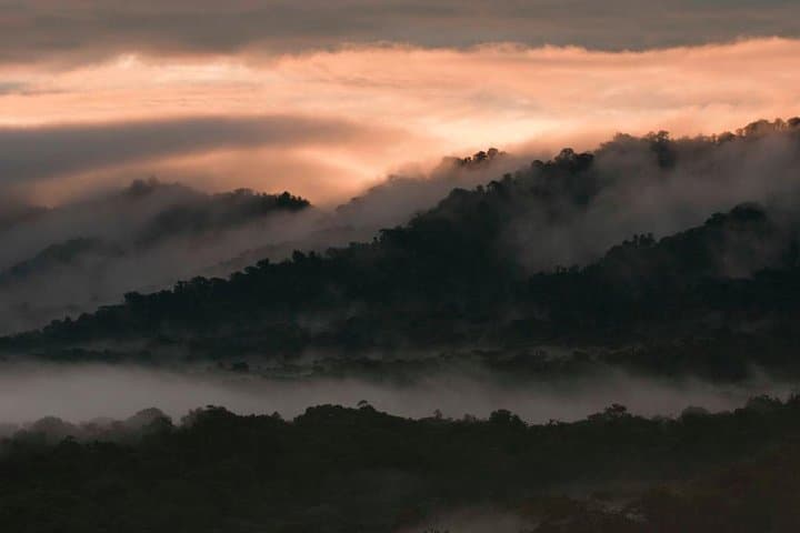 Bellavista Cloud Forest Reserve Full-Day: Cloud Forest Walks Near Quito