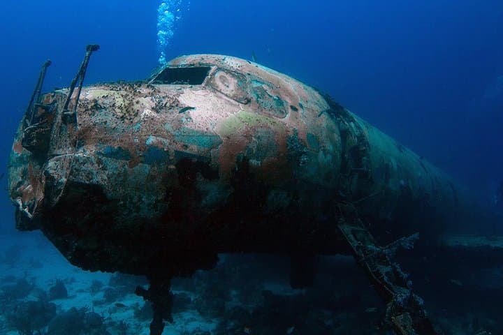 Aruba Two-Tank Boat Dive: Shipwrecks and Barcadera Reef photo 3