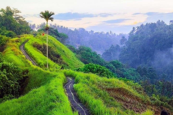 Ubud Countryside Day Tour — Campuhan Ridge Walk, Tegalalang & Tirta Empul photo 2