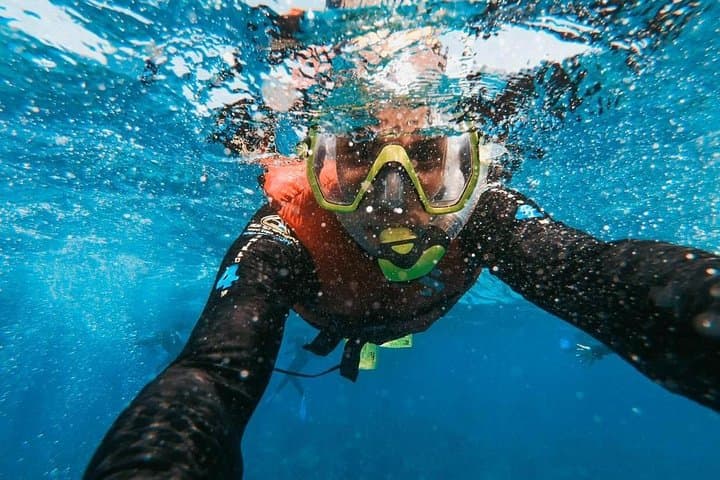 Snorkeling in Gran Canaria: Guided Snorkel Safari to Amadores & Puerto de Mogán photo 2
