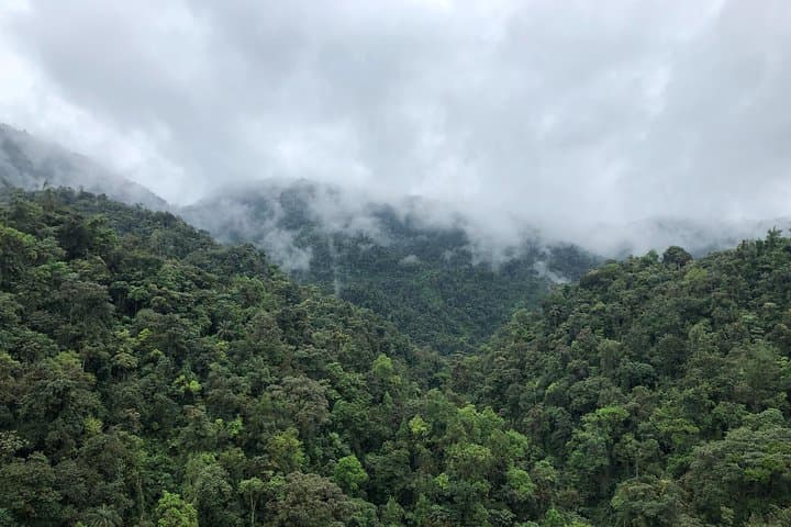 10-Day True Ecuador Experience — Andes to Amazon Adventure photo 5