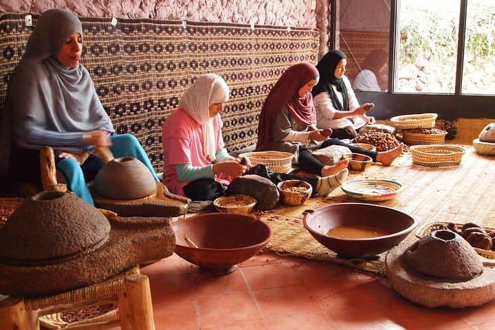 Argan Discovery Tour: From Tree to Treasure — Agadir Cooperative Visit